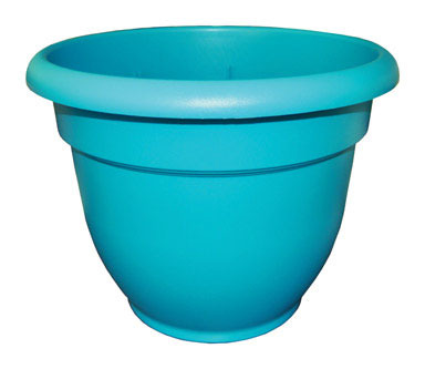 ARIANA PLNTR 10"CAPRIBRZ