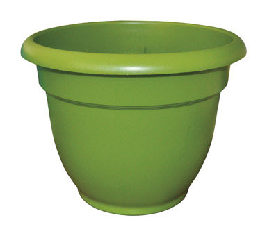 ARIANA PLNTR 8"PERIDOT