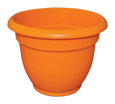 ARIANA PLNTR 10"SUNORG