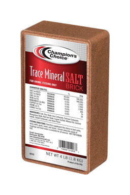 TRACE MINERAL BRICK 4#