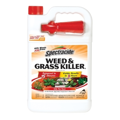 Weed & Grass Killer 1gl