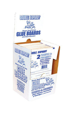 GLUE BOARDS DBL JEOPARDY