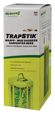 WASP TRAP TRAPSTIK