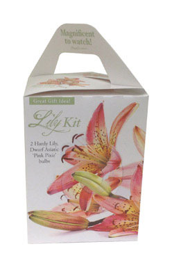 PIXIE LILY KIT GIFT BOX