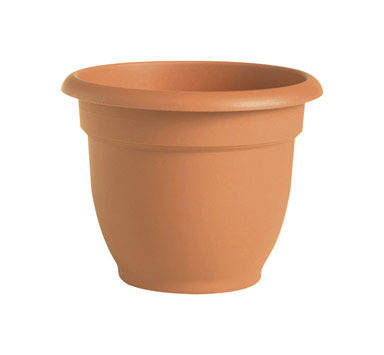 Bloem 8 in. D Resin Ariana Planter Terracotta Clay