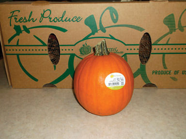 NS PIE PUMPKIN CARTON