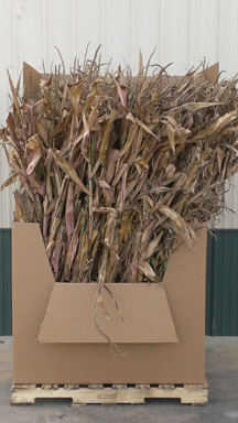 NS CORN SHOCK BUNDLE 10
