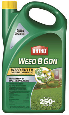 WEED B GON CONC 1GAL