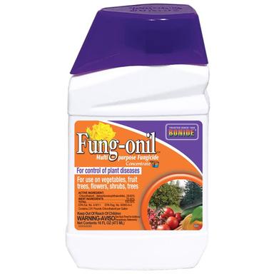 16 OZ FUNG-ONIL FUNGICIDE CONC