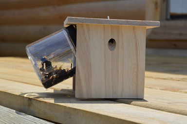 CARPENTR BEE TRAP ANGLED