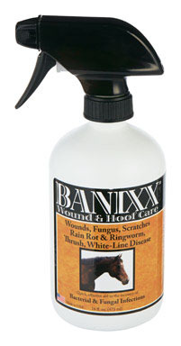 BANIXX WOUND/HOOF PT