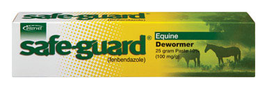 SAFE-GUARD EQ PASTE 25GM