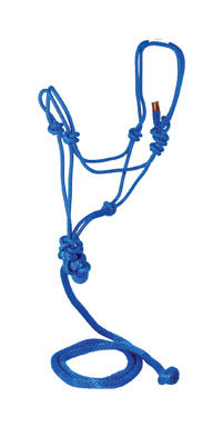 ROPE HALTR W/7'LEAD BLUE