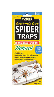 SPIDER TRAP 2PK