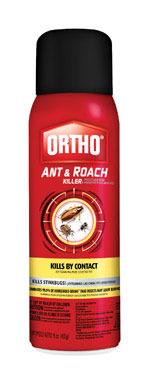 ANT&ROACH AEROSOL 16OZ