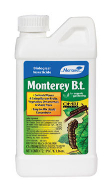 BIO INSECTICIDE  16OZ