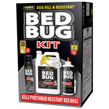 BED BUG BLACK KIT 4PC