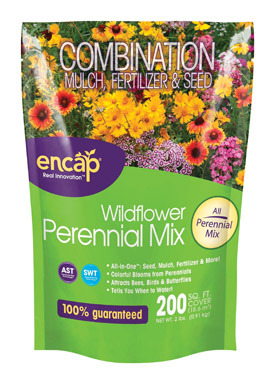 NS PERENNIAL WILDFLOWERS