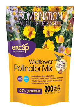 NS POLLINATOR WILDFLOWER