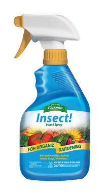 INSECT GRDN SPRAY 12OZ