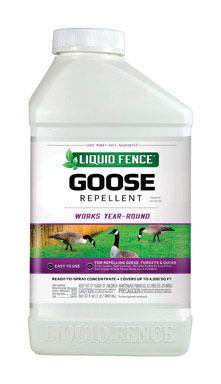 GOOSE REPELLENT CON 32OZ