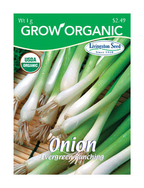 NS LS ORG-ONION EVRG BUN