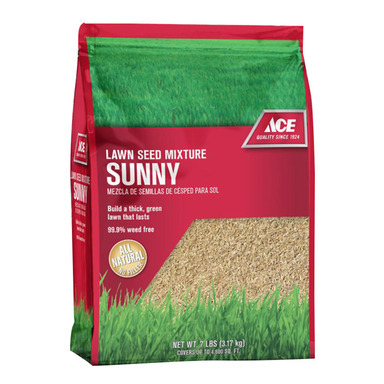 ACE SUNNY GRASS SEED 7LB