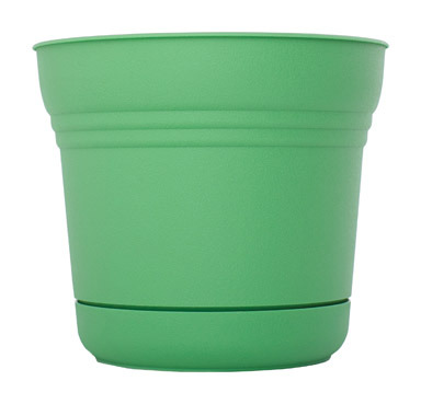 SATURN POT HONEY DEW 7"