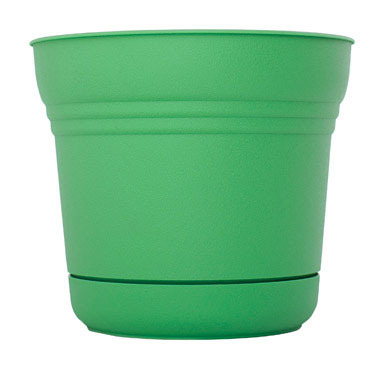 SATURN POT HONEY DEW 14"