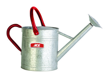 Ace Steel Watering Can 2gal