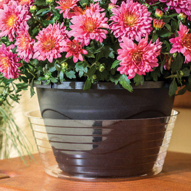 POTTED PLANT LINER 10"