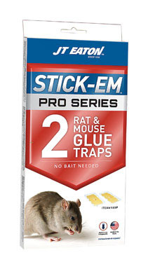 Rat&mouse Glue Trap 2pk