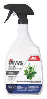 ACE W&G KILL RTU 24OZ