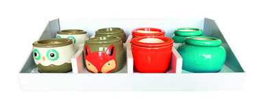 Self Watering Asstd 8pc