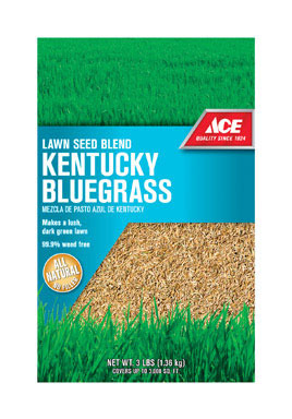 ACE KY BLUEGRASS SEED 3#