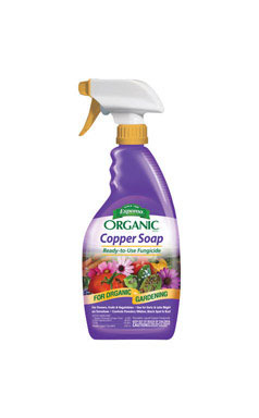 COPPER SOAP ORGNC 24OZ