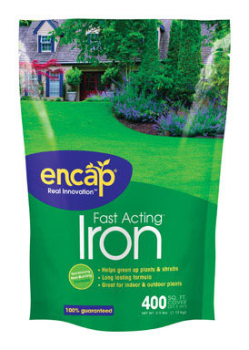 IRON FAST ACTING 2.5LB