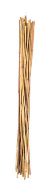 5' BROWN BAMBOO STAKE 12/B d