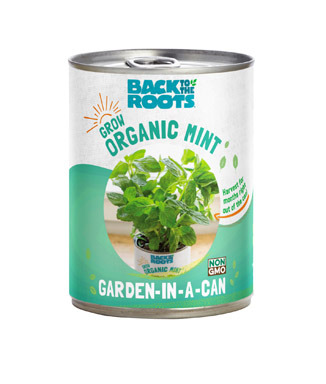 Garden-in-a-can Mint