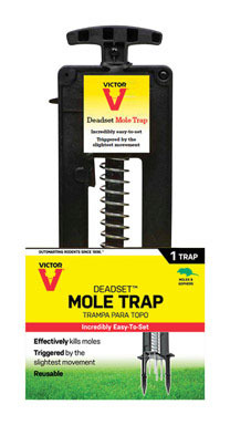 Deadset Mole Trap