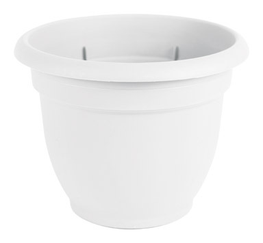 FLOWER POT ARIANA WHT8.7