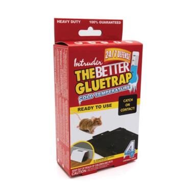 NS GLUE TRAP