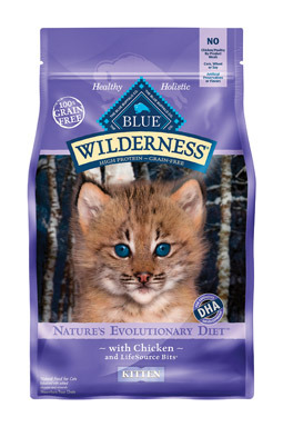 BLUE WILD KITTEN CHIX5LB