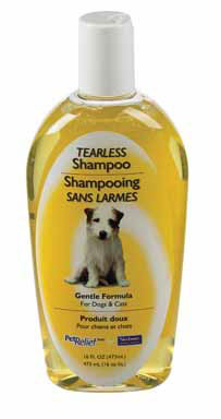 PET SHAMPOO TEARLESS16OZ