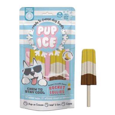 TREAT PUP ICE BANA/CHOCO 2PK