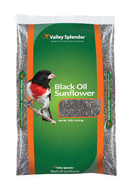 OIL SUNFLOWER BSEED 10LB