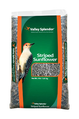 STRIP SUNFLOWR BSEED 4LB