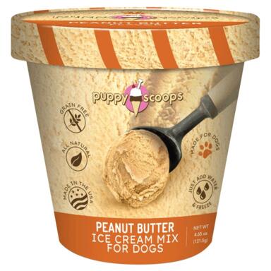Ps Peanut Butter Ice Cream Mix