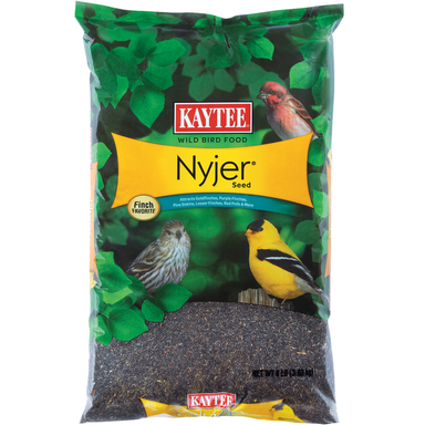 Kaytee Nyjer Songbird Nyger Thistle Seed Wild Bird Food 8 lb