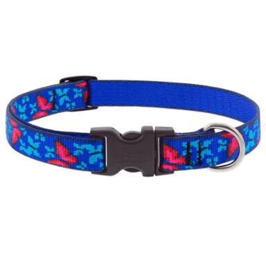 DOG COLLAR 9-14" BTRFLY